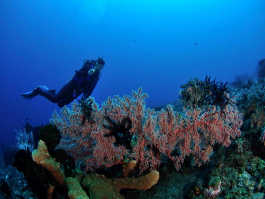 Tulamben Wreck Divers Resort & Restaurant Extérieur photo